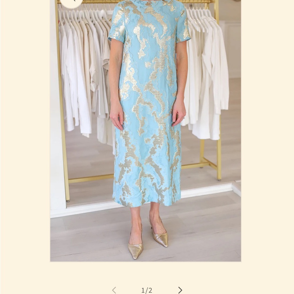 Elegant Blue and Gold Dress